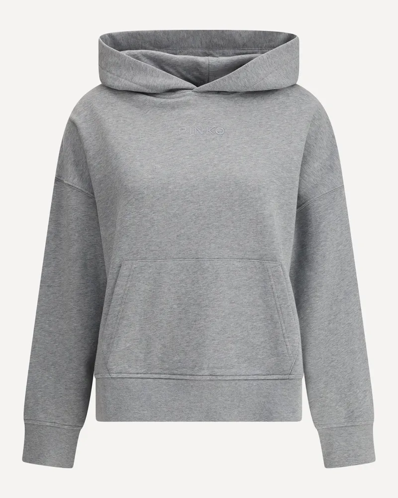 Pinko Hoodie Female Grey