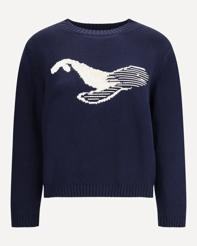 Max Mara Nespola Sweater Female Blue