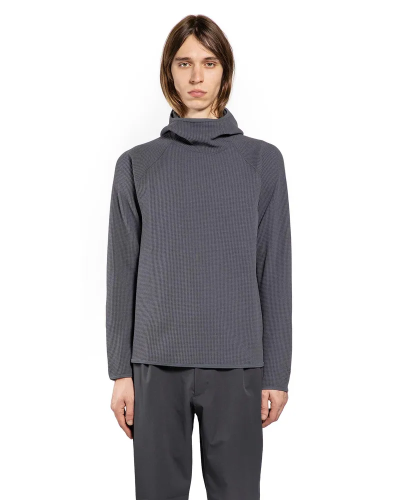 Goldwin WF Light L/S hoodie Grey