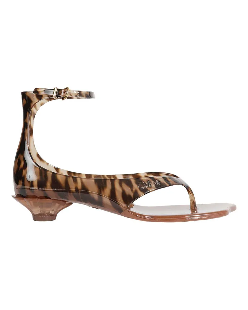 Chloé Jelly Sandals Brown