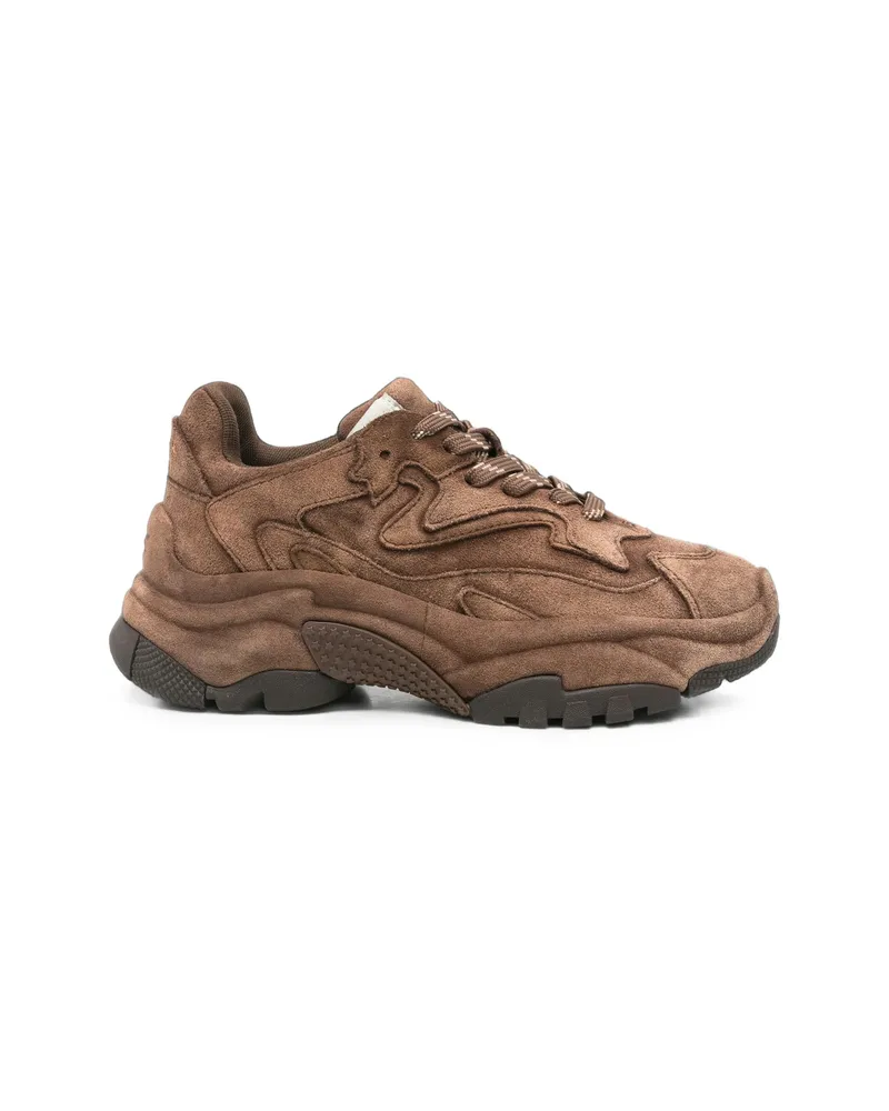 ash ASH Addict Panelled Sneakers Brown