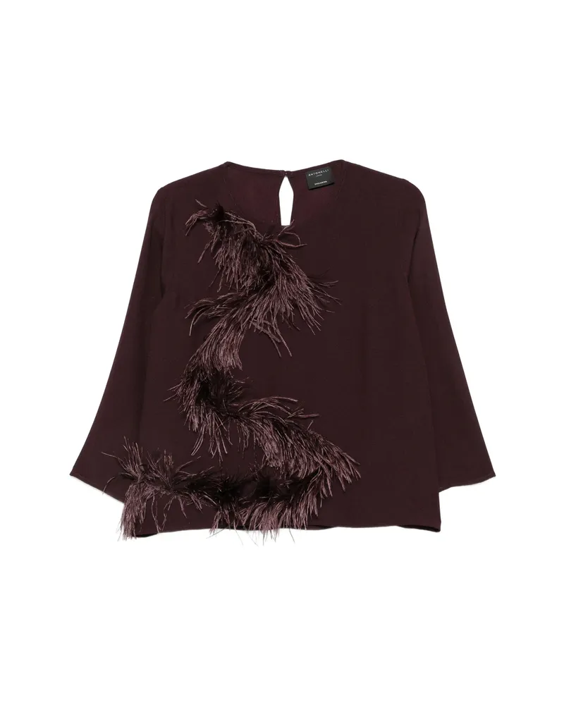 Antonelli Firenze Feather-trim Long-sleeve Top Brown