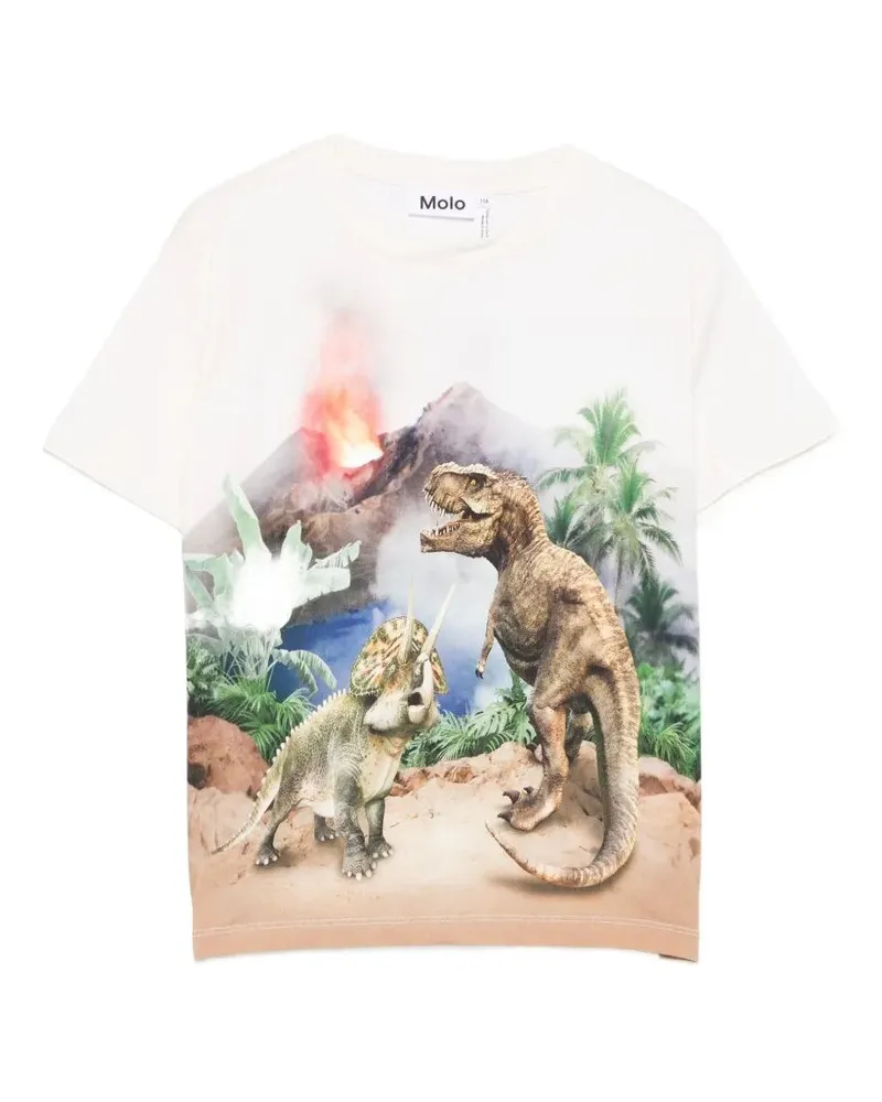 Molo Riley Short Sleeves T-Shirt Green