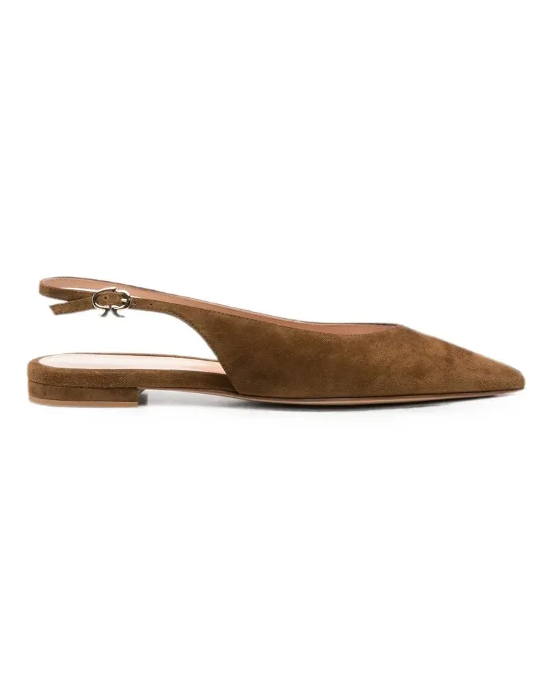 Gianvito Rossi Shoes Pointed Toe "Robbie Black