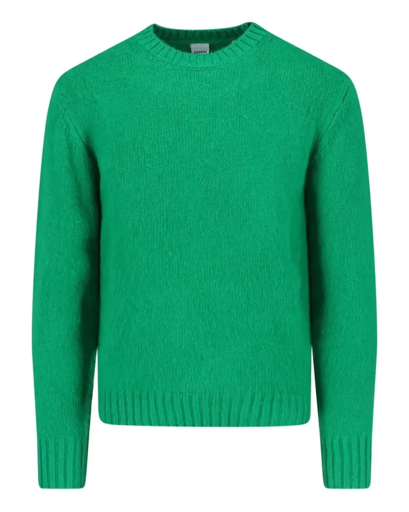 ASPESI Classic" Round Neck Sweater Green