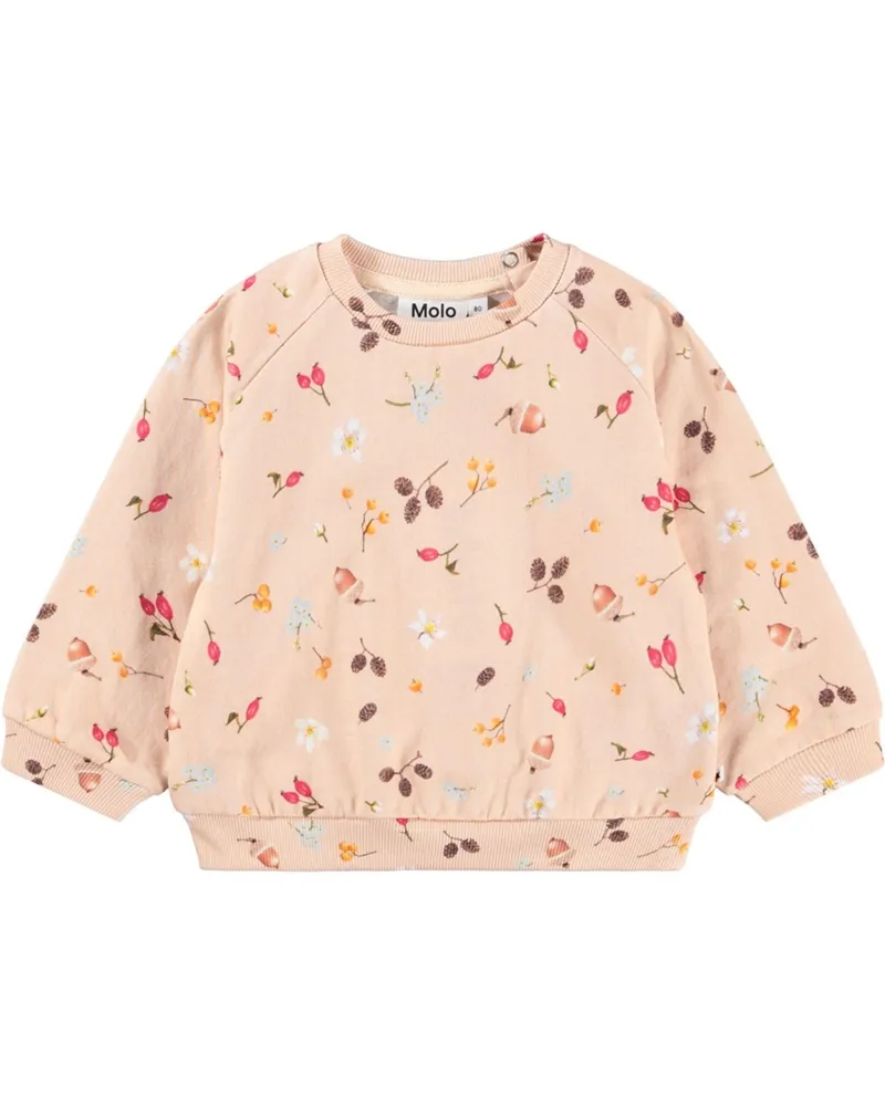 Molo Disc" Sweatshirt Pink