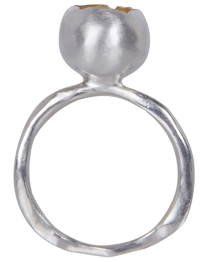 Rosa Maria Minoo 3 S Sm Gy" Yellow Gold Plated Ring Metallic