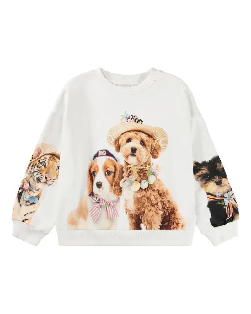 Molo Maxi Sweatshirt Pink