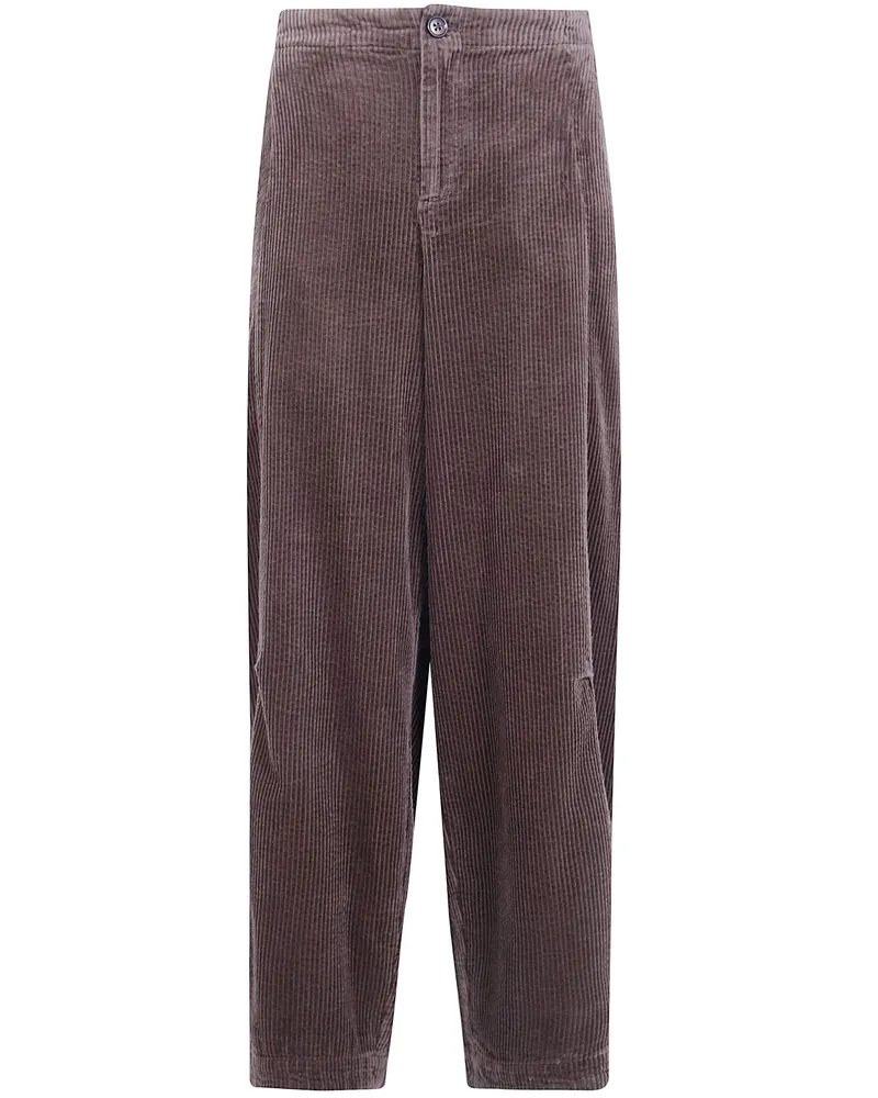 JcSophie Pants 100% Cotton "Paz Brown