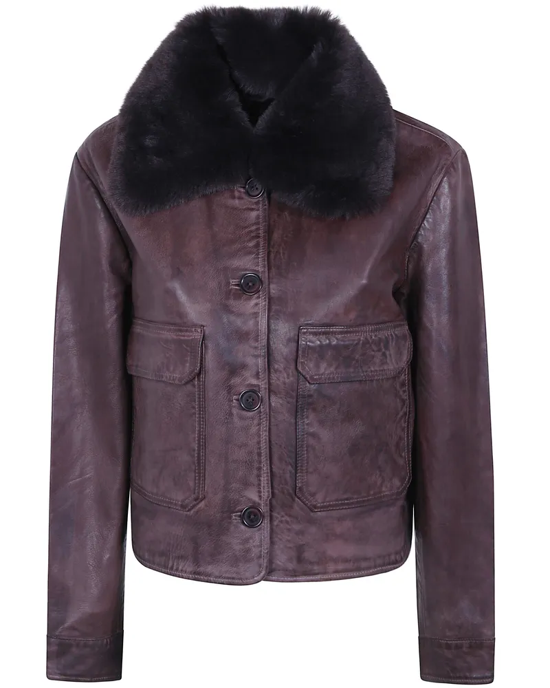 JcSophie Leather Jacket "Pure Brown