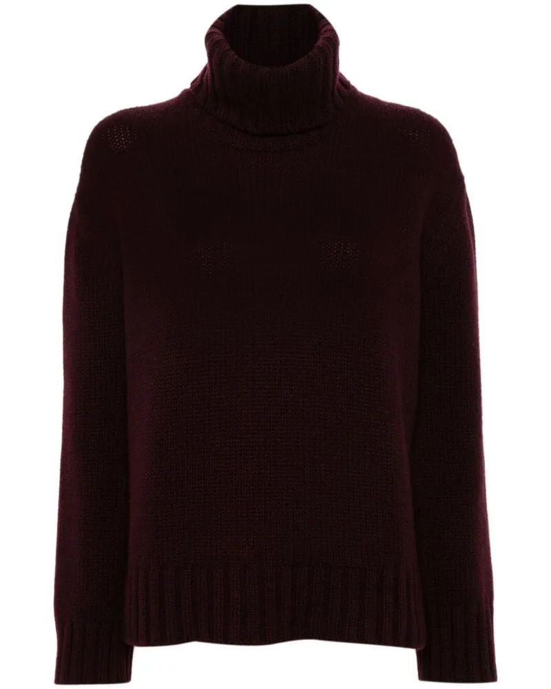 Fabiana Filippi Turtleneck Long Sweater Pink