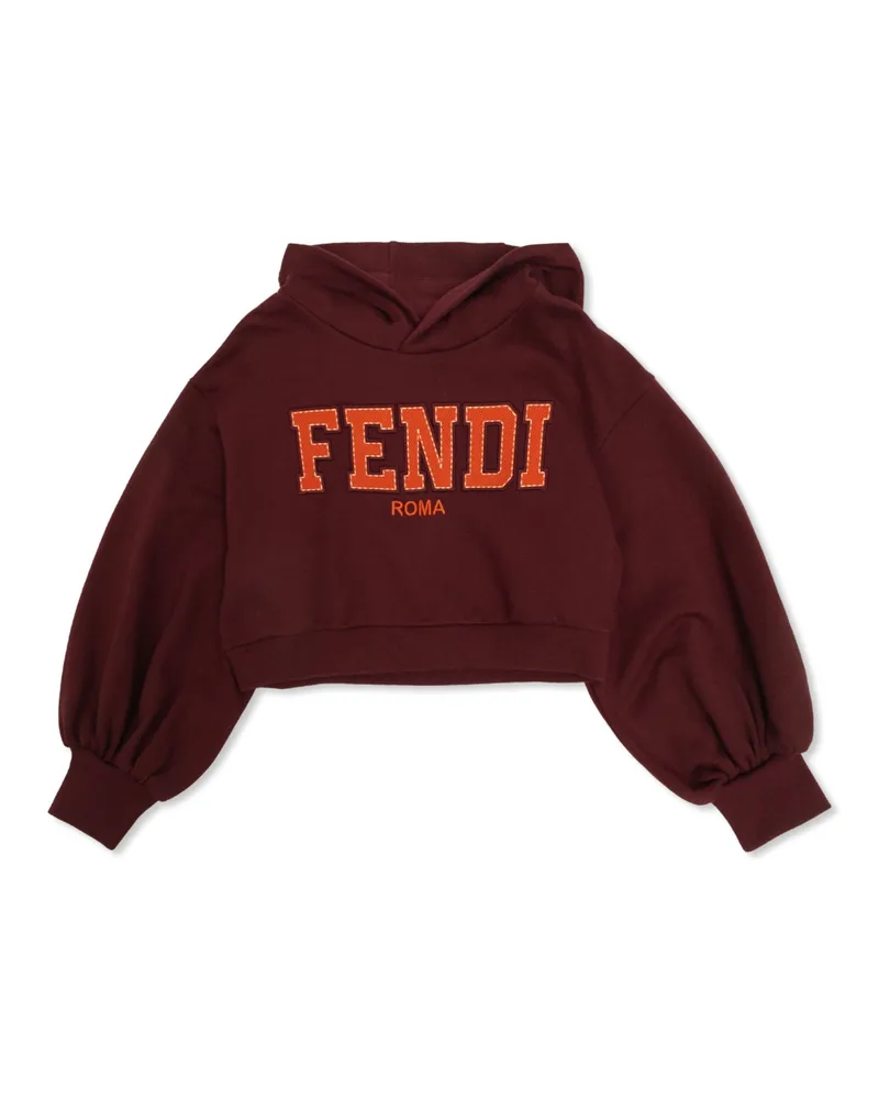 Fendi Sweatshirt Pink