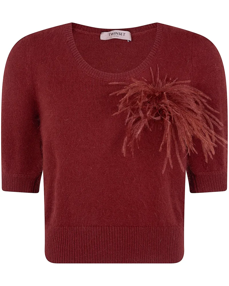 Twin-Set Sweater Short Sleeves "Round Neck With Feathers Brown