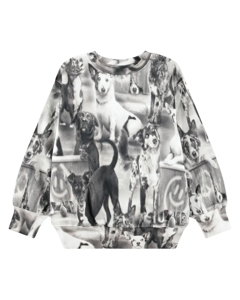 Molo Sweatshirt With Dogs "Mattis Brown