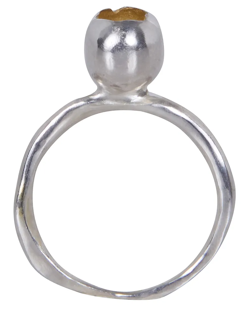 Rosa Maria Minoo 2 S S Gy Yellow Gold Ring 18K Metallic