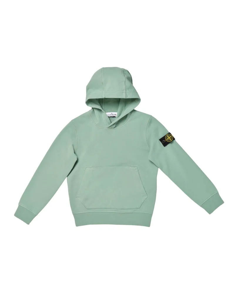 Stone Island Sweatshirt Green