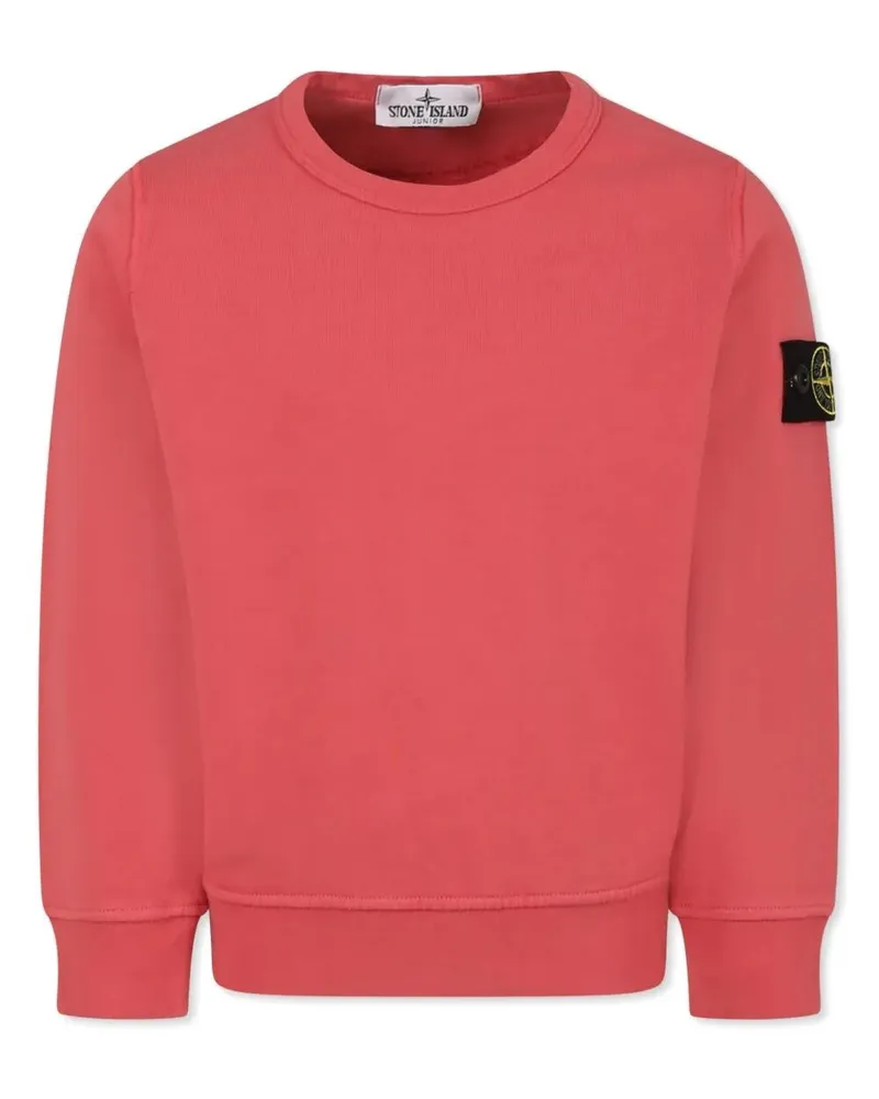 Stone Island Hoodie Red