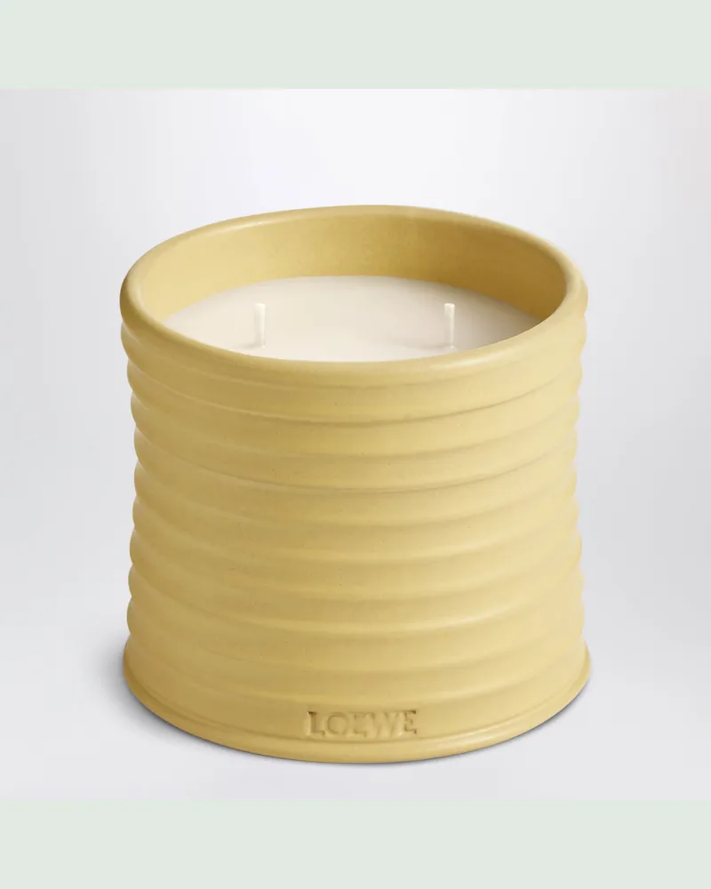 Loewe Mittelgroße Duftkerze mit Geißblatt-Duft Yellow