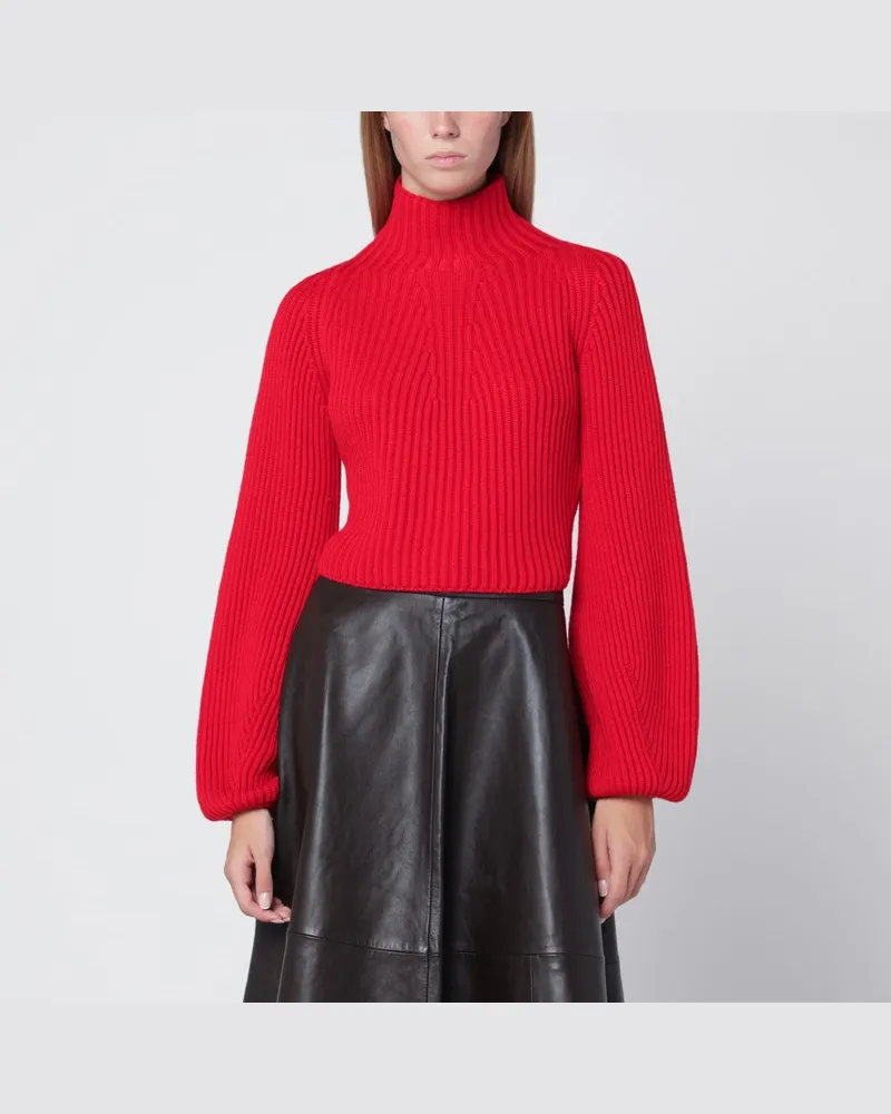 SPORTMAX Roter Rollkragenpullover aus Wolle Grau