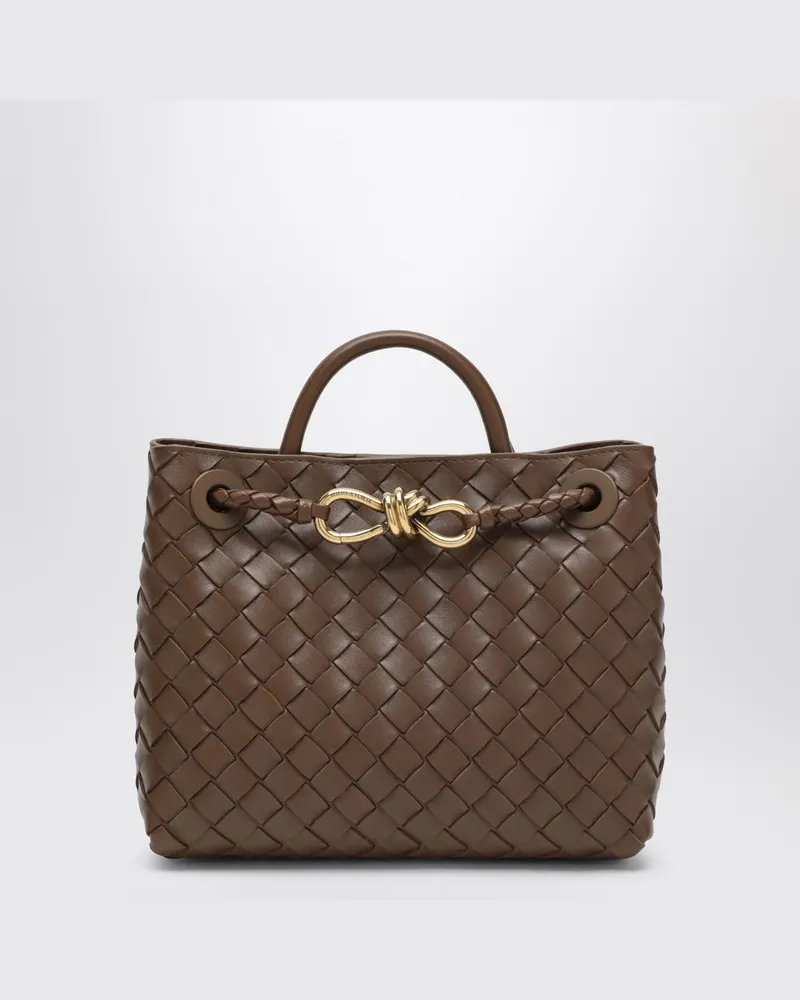 Bottega Veneta Kleine Andiamo-Tasche in Haselnuss Braun