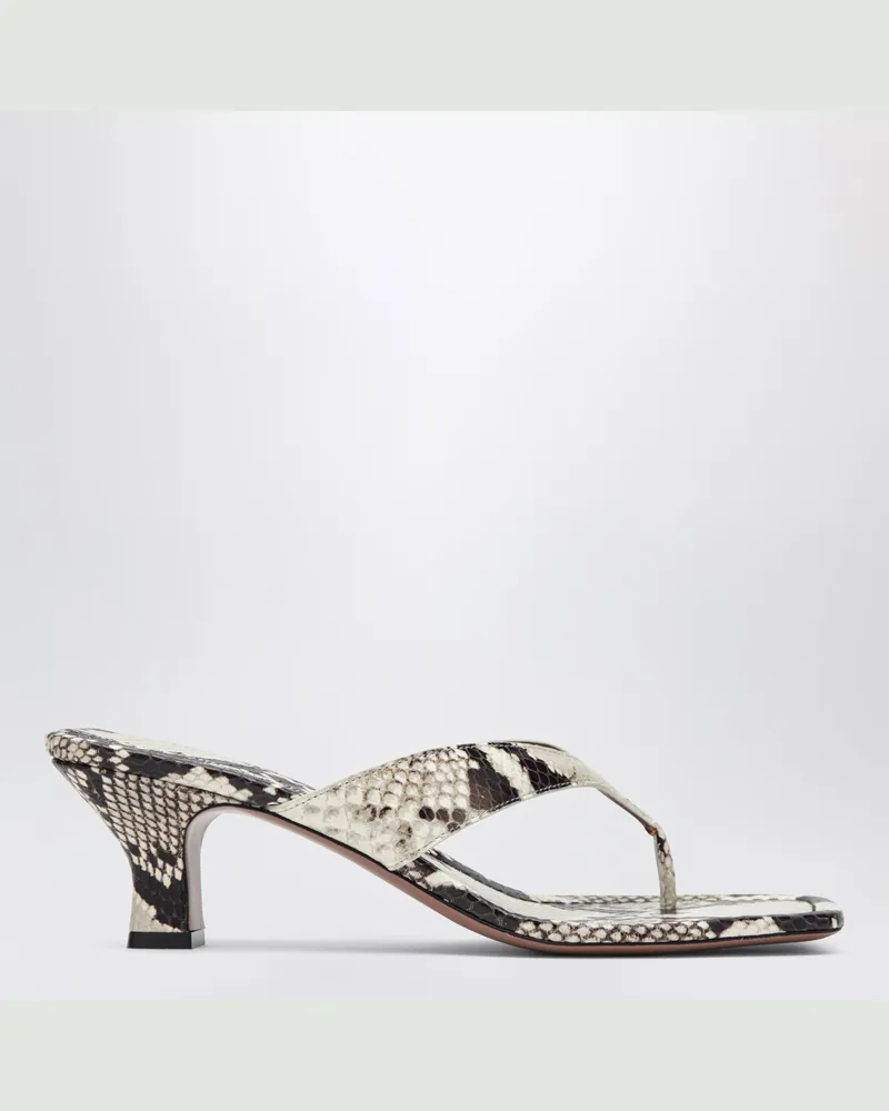 Paris Texas Zehentrenner-Slides mit Python-Print Beige