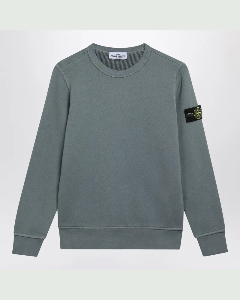 Stone Island Rundhals-Sweatshirt in Ash Blue aus Baumwolle Blue