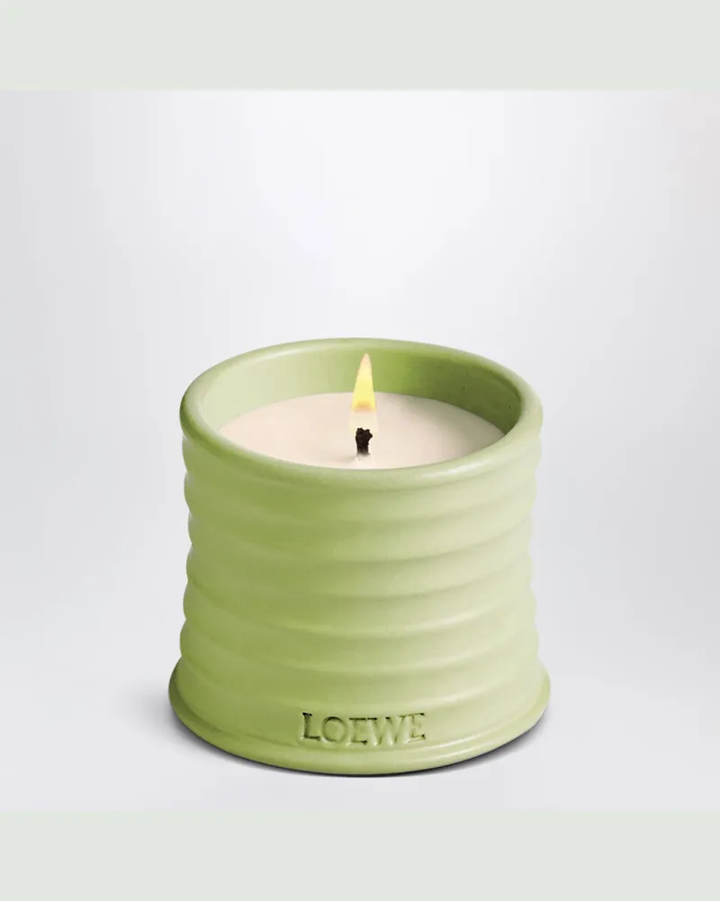 Loewe Kleine Duftkerze mit Pistazienessenz Green