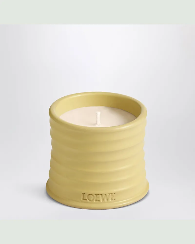 Loewe Kleine Duftkerze mit Geißblatt-Duft Yellow