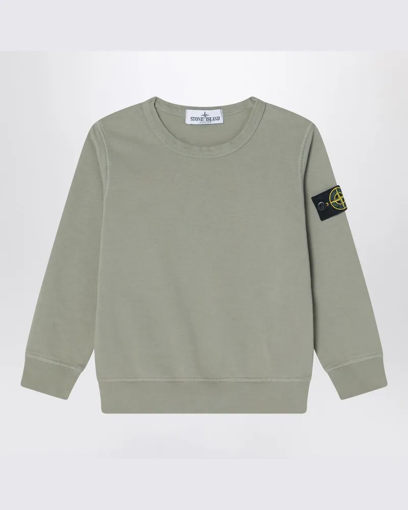 Stone Island Sweatshirt mit Rundhalsausschnitt in Moosfarbe aus Baumwolle Grün