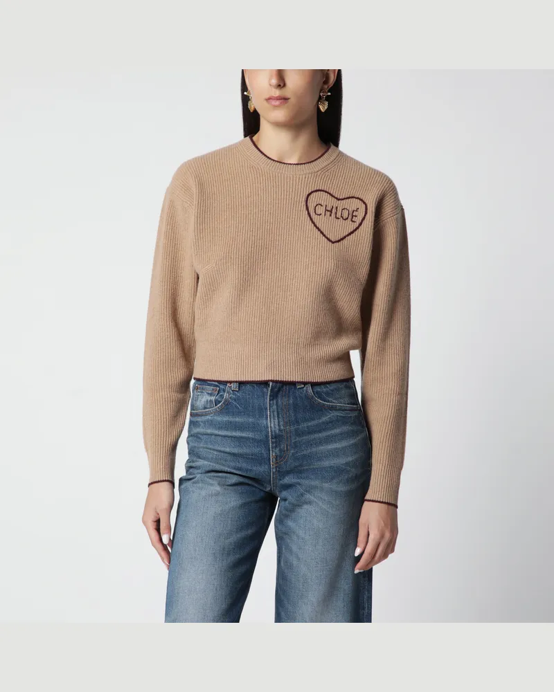 Chloé Hellbrauner Pullover mit Logo aus Wolle und Kaschmir Brown