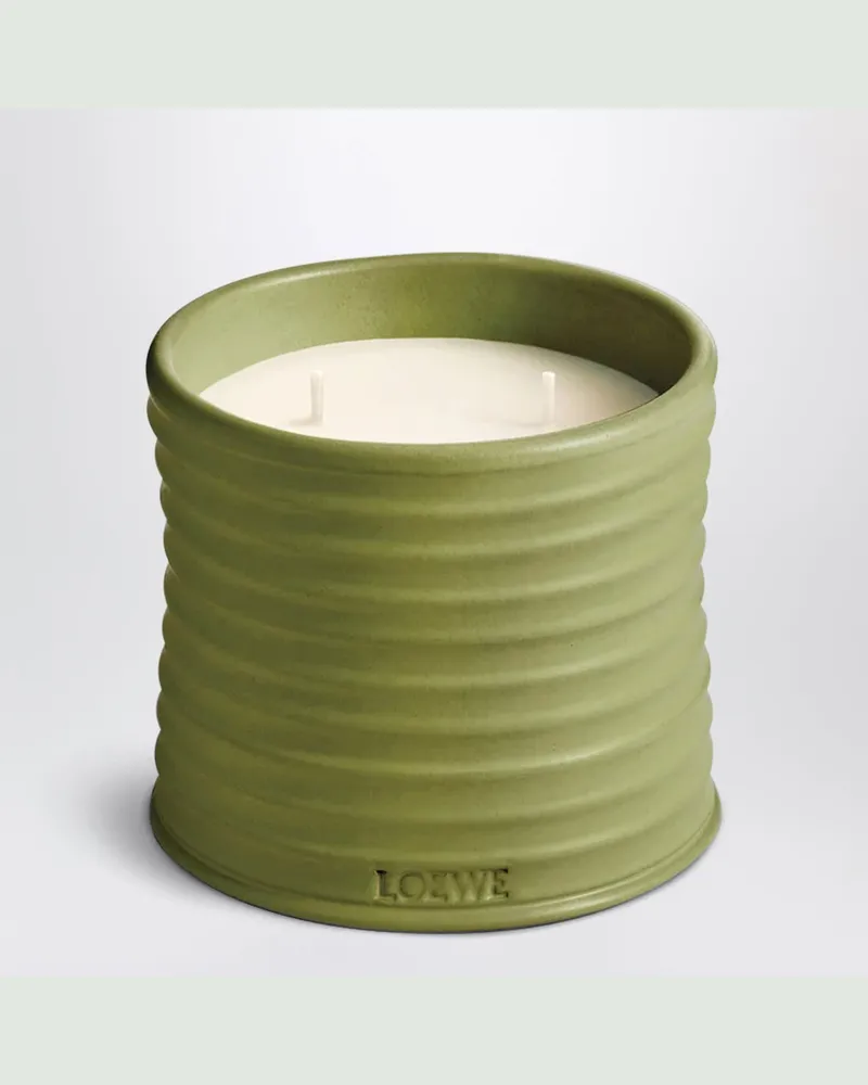 Loewe Mittlere Duftkerze mit Pistazienessenz Green
