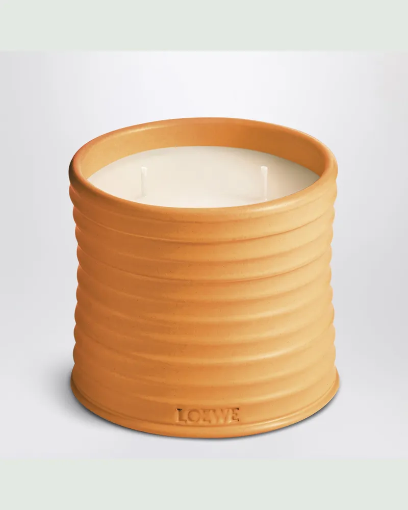 Loewe Mittelgroße Duftkerze mit Orangenblüten-Duft Orange