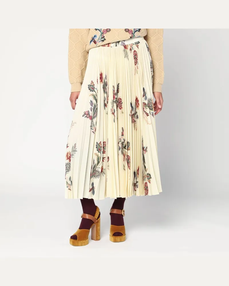 Etro Wird eine Fantasie plissettata Mehrfarbig