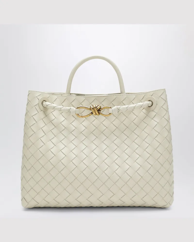 Bottega Veneta Andiamo Tasche mittel in Seasalt 