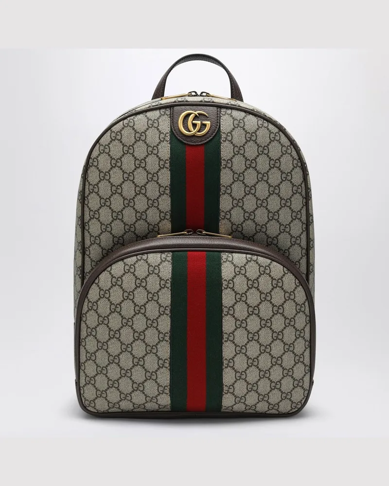 Gucci Mittelgroßer Rucksack Ophidia Braun