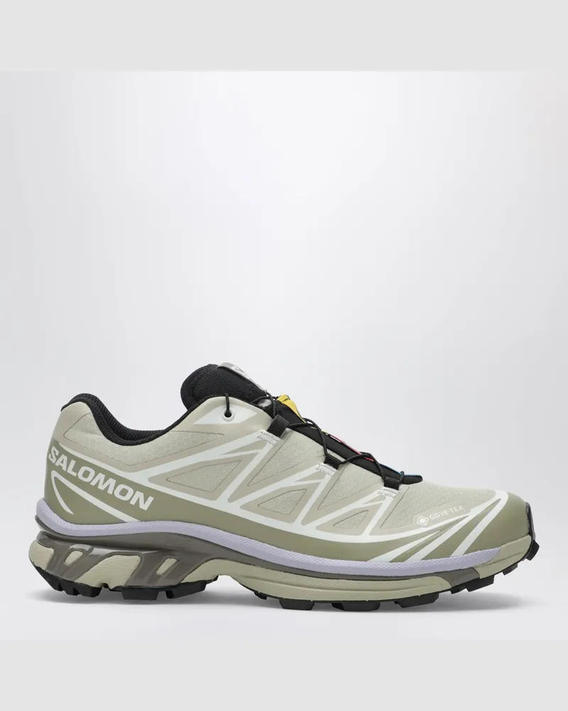 Salomon XT-6 GORE-TEX Schuhe Eucalyptus/Silver Sage Metal