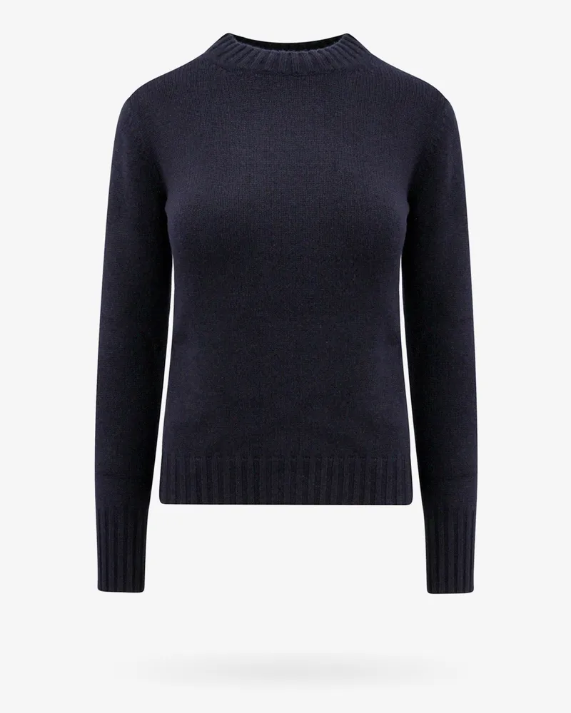 Max Mara Cashmere sweater -  - gender_Woman Blue