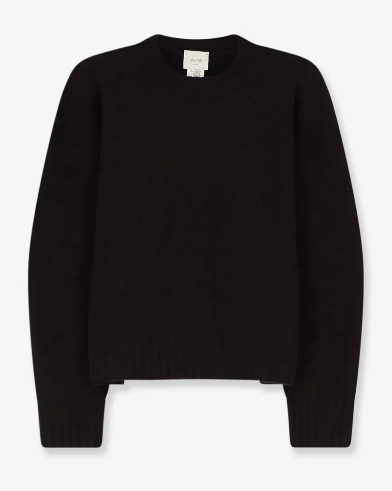 ALYSI Merino wool and cashmere blend sweater -  - gender_Woman Brown