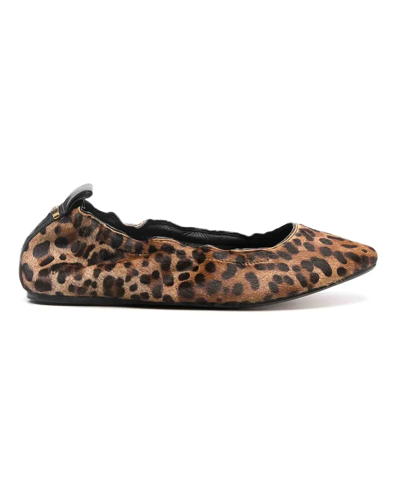 Isabel Marant Ballerinas - Braun Braun