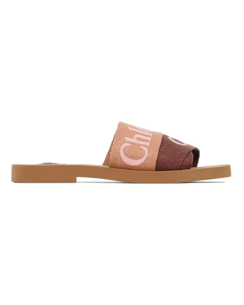 Chloé Ballerinas - Braun Braun