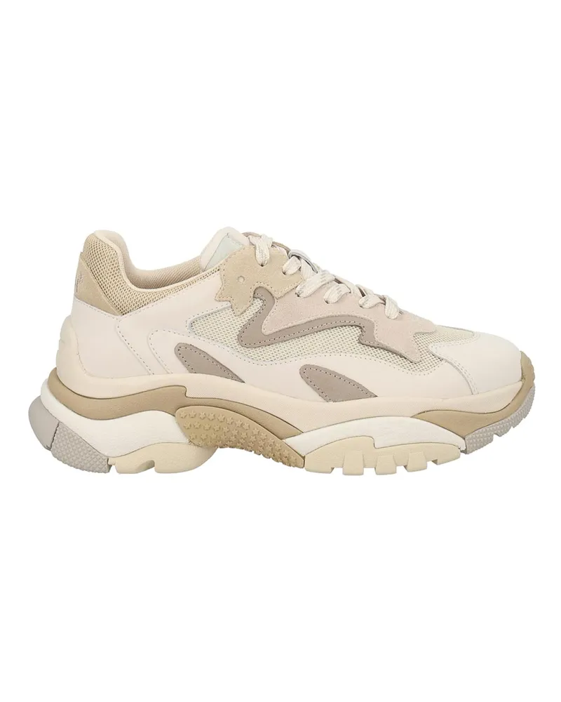 ash Sneaker - Beige Beige