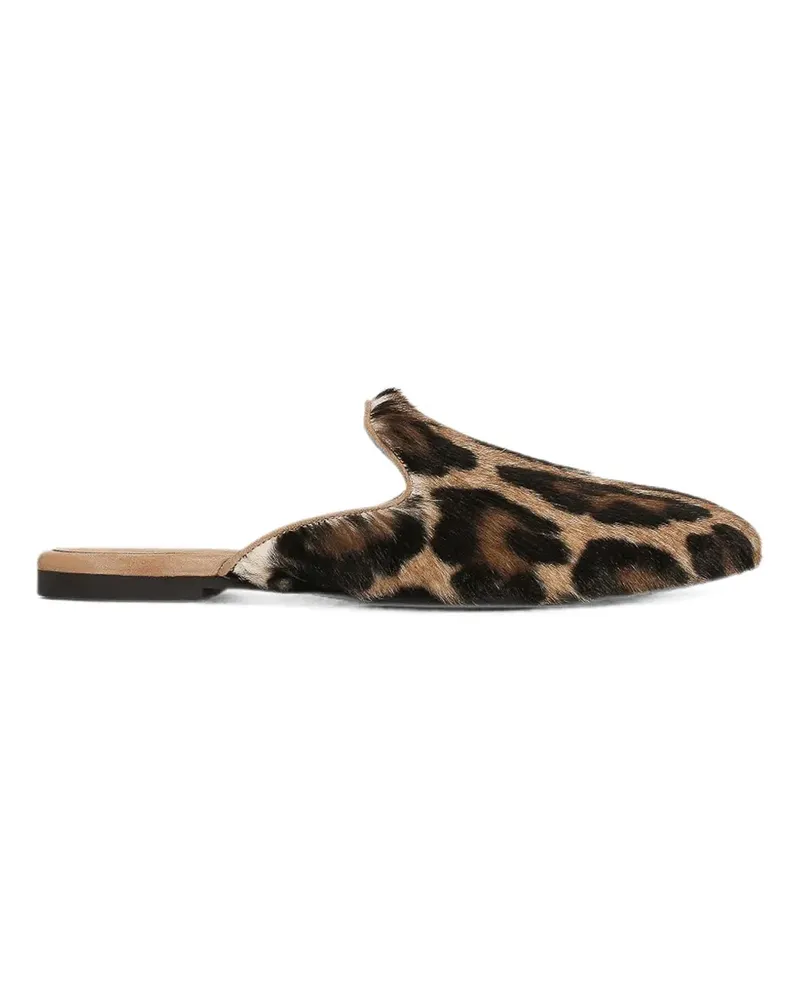 Dolce & Gabbana Mules - Braun Braun
