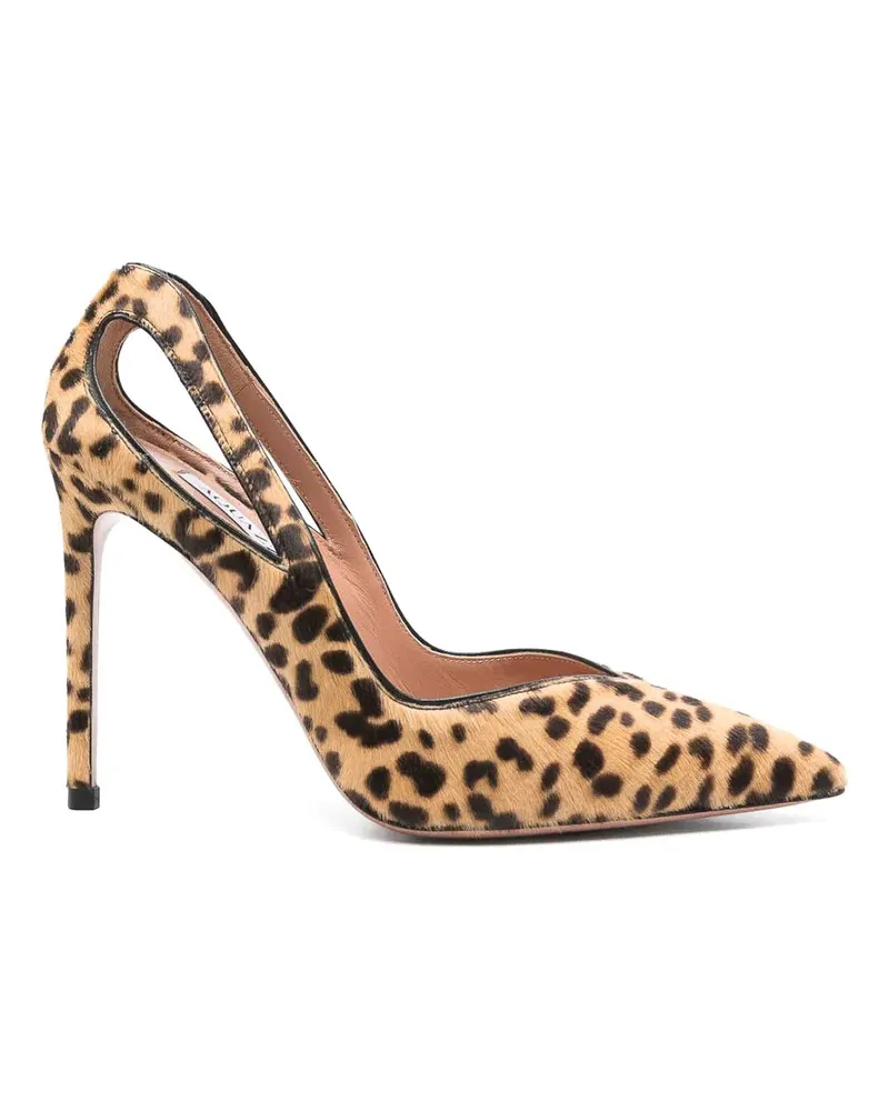Aquazzura Pumps - Braun Braun