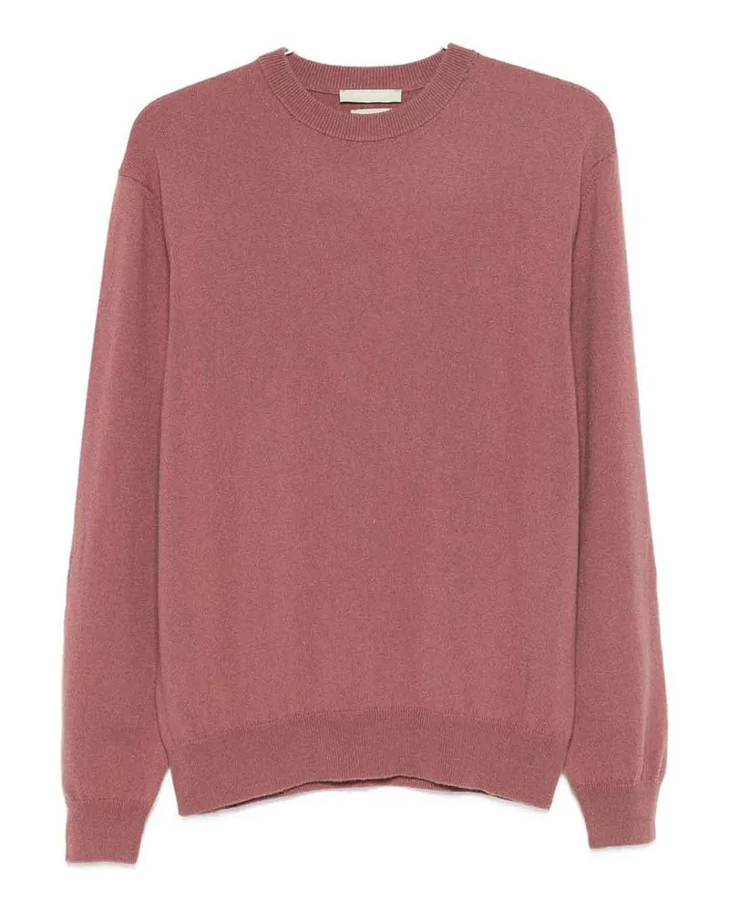 Daniele Fiesoli Rundhalspullover - Nude Nude