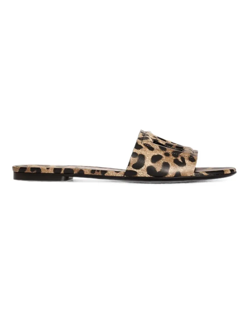 Dolce & Gabbana Sandalen - Animal Animal