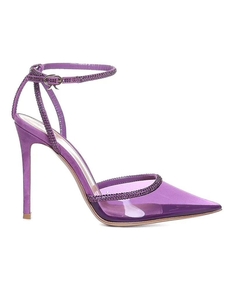 Gianvito Rossi Pumps - Schwarz Lila