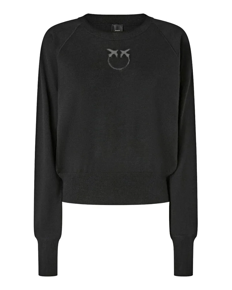 Pinko Rundhalspullover - Schwarz Schwarz
