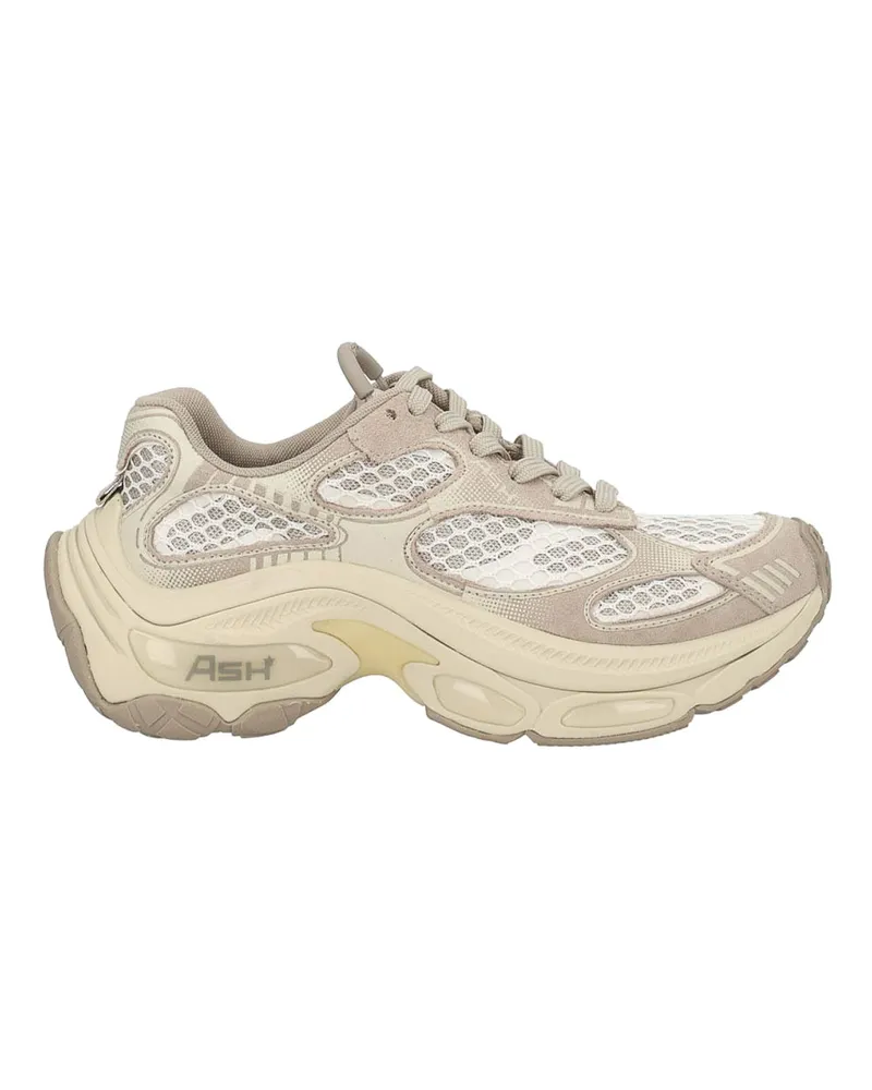 ash Sneaker - Beige Beige