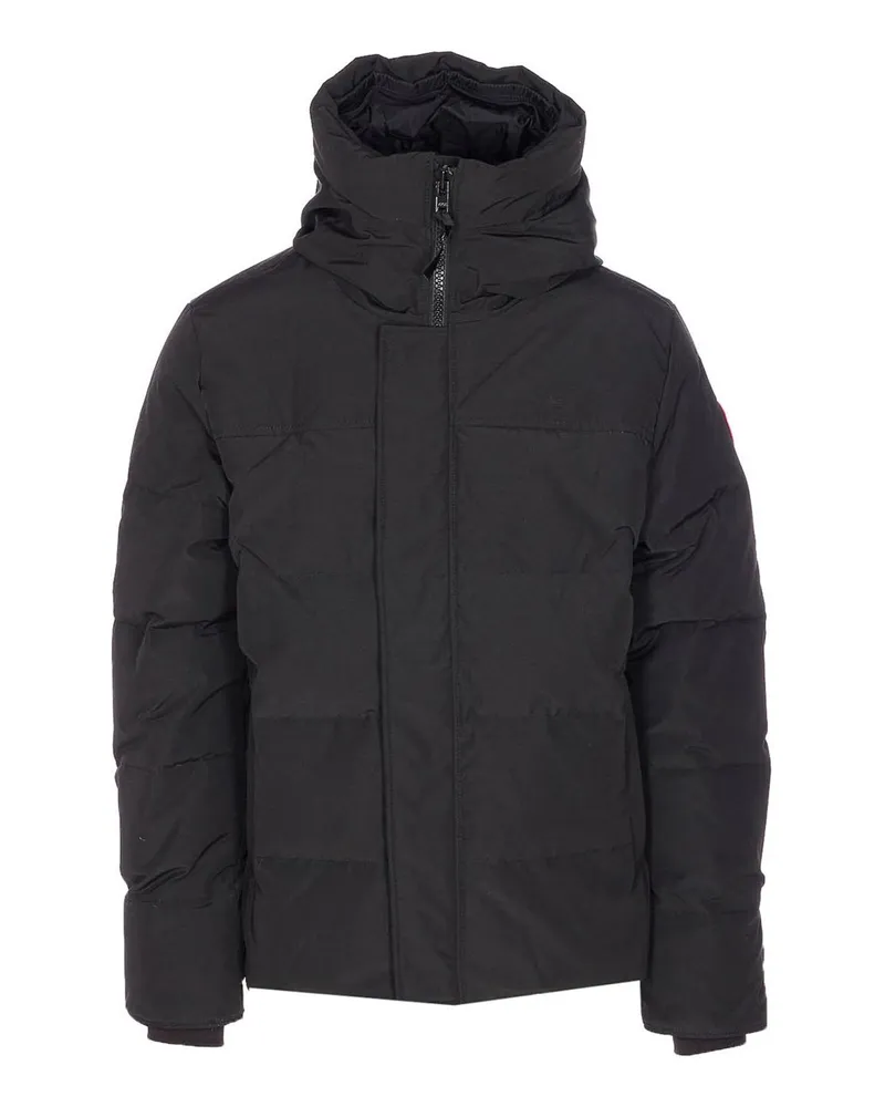 Canada Goose Parka - Grau Grau