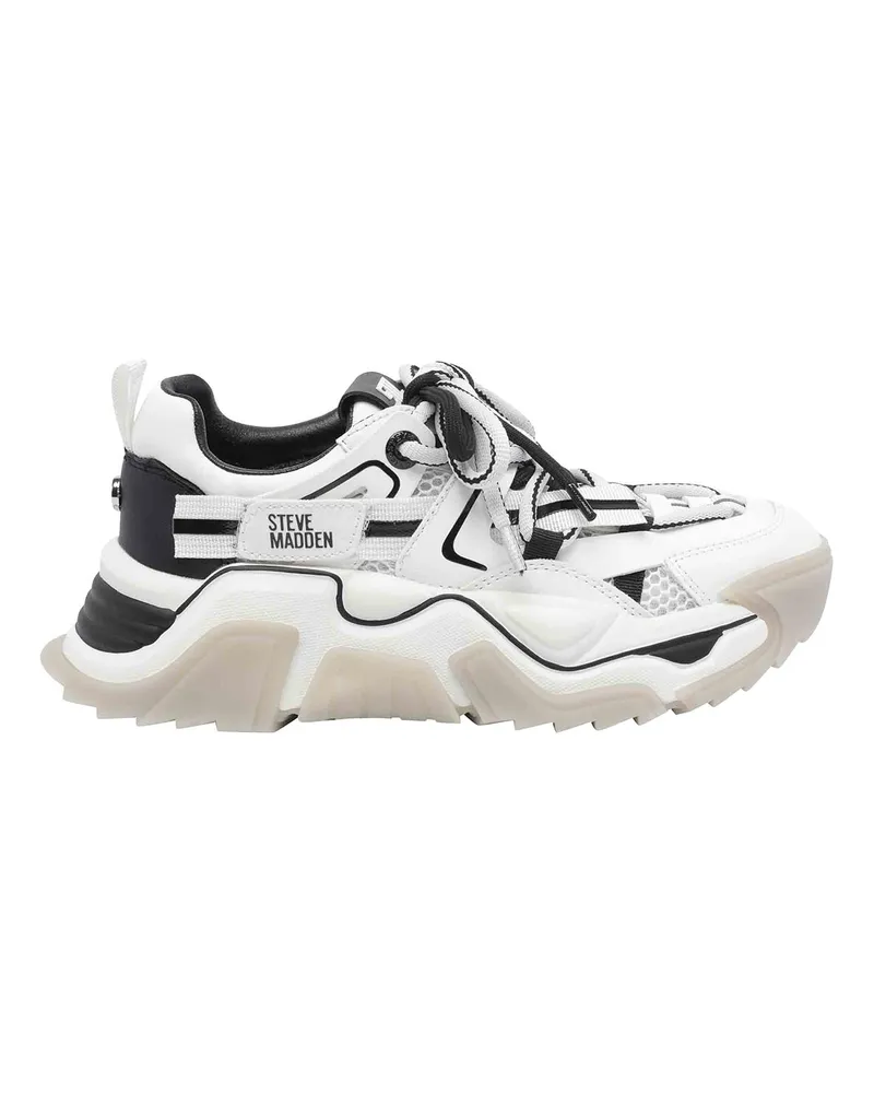 Steve Madden Sneaker - Grau Grau